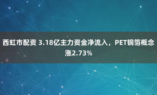 西虹市配资 3.18亿主力资金净流入，PET铜箔概念涨2.73%