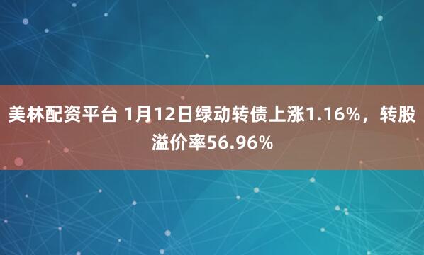 美林配资平台 1月12日绿动转债上涨1.16%，转股溢价率56.96%